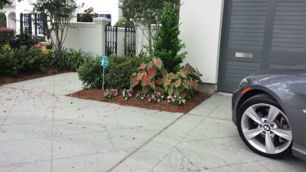 new orleans driveway off-street parking