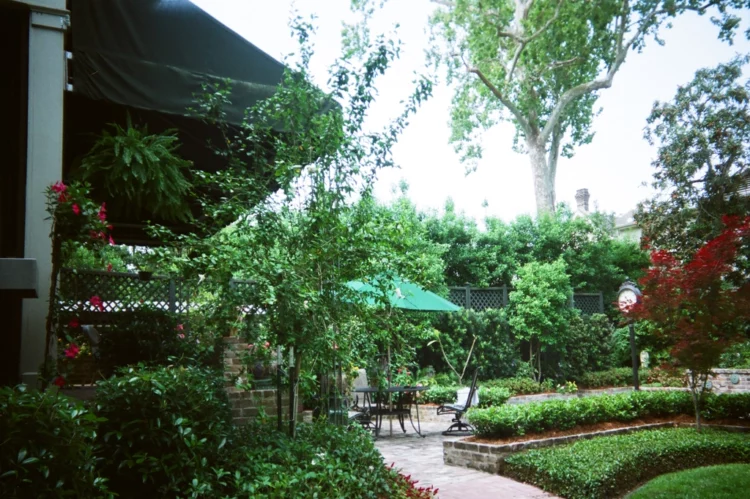 Lush Garden with walkway in New Orleans