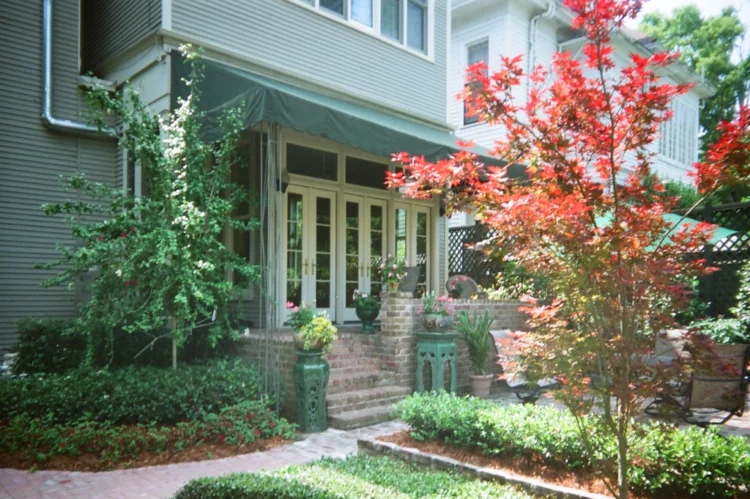 Lush Garden in New Orleans