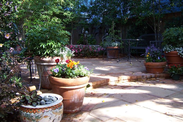 potted plants in uptown new orleans coutryard